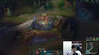 Ultimate Micro & APM: Beautiful High Challenger Nidalee Game