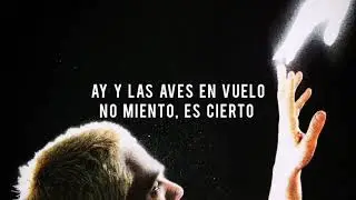Sega Bodega Feat. Arca - Cicada [subtitulado al espa&ntilde;ol]