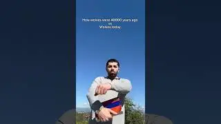 How wolves were 40000 years ago vs wolves today. #shorts #ufc #skit #funny