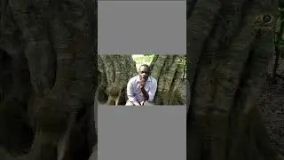 A VISIT TO MY TOWN OF ORIGIN(OTSIR) CENTRAL REGION OF GHANA