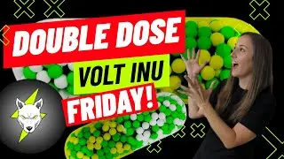 VOLT INU DOUBLE DOSE SHOW