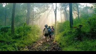 SABARIMALA | AYYAPPA SONGS | SABARIMALA YATHRA | Ayyappa Devotional Song | JAYADEVAN D|DDM|