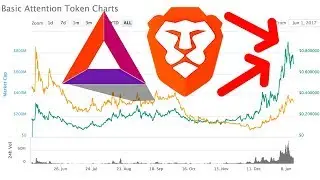 Investing In Cryptocurrency - Is BAT The Best AltCoin? (Basic Attention Token)