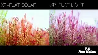New Model NoHelios XP Series Flat Solar Light By Petzlifeworld