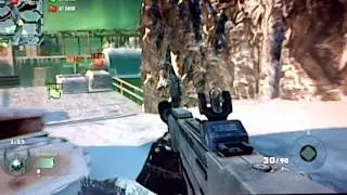 3 dogs on capture the flag- black ops