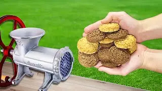 EXPERIMENT BISCUITS VS MEAT GRINDER