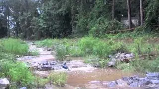 Step Pool Storm Conveyance