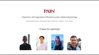 Video abstract for Matthewson, Woo, Reddan, & Wager (2019)