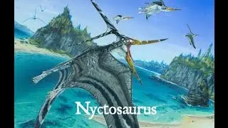 Nyctosaurus Documentary