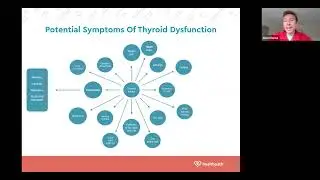 The Gut-Thyroid Connection with Alex Manos
