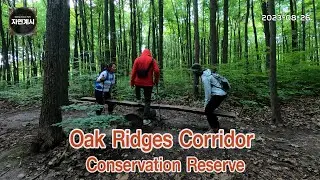 Oak Ridges Corridor Conservation Reserve #1 [2023.08.26] @walkingontarioparks