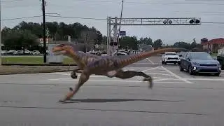 Dinosaur Spotted on E King Ave (Highway 40) Kingsland GA : RTAPRODUCTIONS.COM