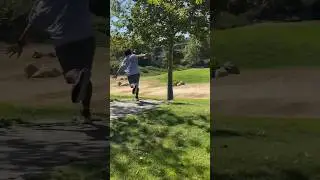 Two kinds of PARK jobs!?!?!? #discgolf #parking #fypシ゚viral #laborday