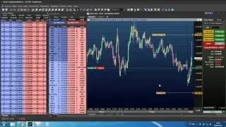 Opera&ccedil;&atilde;o suicida - day trade ao vivo - payroll