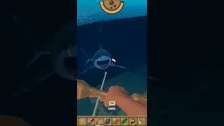 Shark vs Boy 🦈 #shark #sharks #sharkhunting #hunting #survival #bestsurvivalgame #4k #manvswild #yt