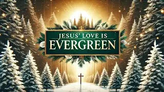 🎵 Jesus&rsquo; Love is Evergreen | Heartfelt Christmas Worship Song about God&rsquo;s Unfailing Love 🎄✨