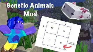 Genetics & Minecraft: It's Axolotl time!