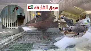 أجمل انواع الحيوانات في سوق الشارقة 😍✨🇦🇪