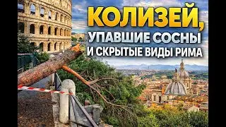 The Colosseum, Fallen Pines, and Hidden Views of Rome
