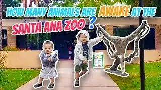 AWAKE OR ASLEEP? Animals @ The Santa Ana Zoo