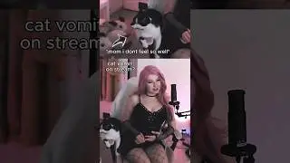 #miss_kira on #Twitch #gamergirl #egirl #funny #meme #cat #twitchstreamer
