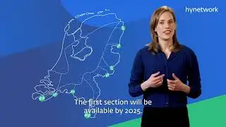 The functioning of the Hydrogen network Netherlands