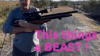 At the range-attn;PROHIBITED PERSONS