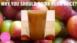 PLUM & GINGER JUICE | Quick And Easy | Healthy And Refreshing | #79 | The Grange Adventure