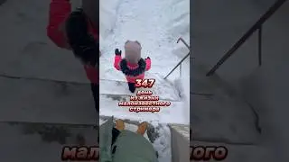 347й день из жизни малоизвестного стримера #влог #twitch #vlog