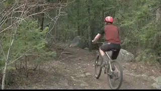Bitterroot National Forest ordered to review trail management plan changes