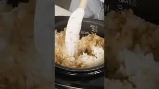 Grilled Rice Balls