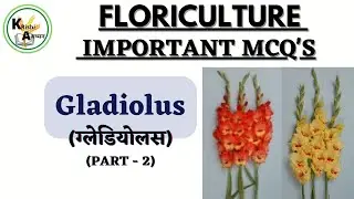 Gladiolus (ग्लेडियोलस) Mcq's // Part-2 #floriculture