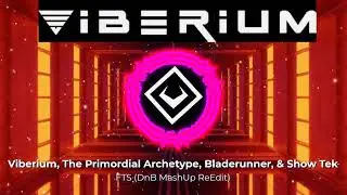 Drum and Bass Mashup: Bladerunner X Showtek X Viberium X Primordial Archetype  X Dub Elements - FTS