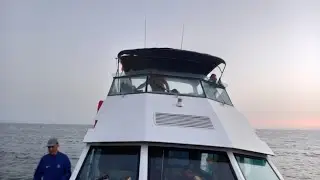 جولة بالباطو 🛳️بمارينا اكادير 🌊ثمن مناسب و اجواء رائعة 😍