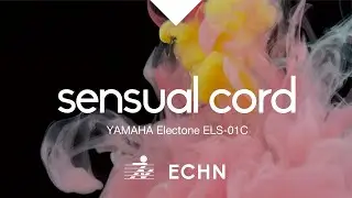 sensual cord (YAMAHA Electone  ELS-01C)