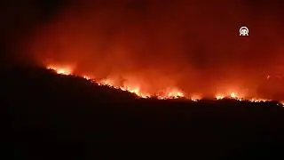 Podgorica - Montenegro seeks international help to combat forest fires