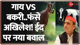 Akhilesh Yadav on Gaushala: गाय Vs बकरी..फंसे अखिलेश ! ईद पर नया बवाल | BJP | Gaushala | Eid 2025