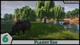 Planet Zoo | 6 | Бегемотики