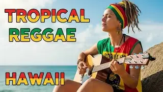 Aloha Reggae Chill 🌴 Cozy Island Caf&eacute; Vibes &mdash; Work, Read & Unwind