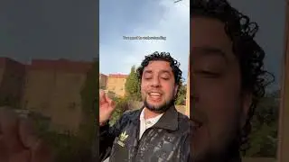 Образование на BabyDoggies