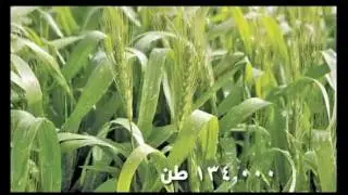 شركة نادك