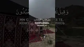 Чтец: Абу Таймия Сура: &laquo;Аш-Шуара&raquo; Аяты: 90-94