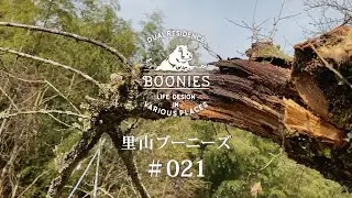 折れた木の補修 | 変わりやすい山の天気
