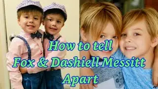 How To Tell Fox & Dashiell Apart