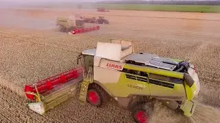 Mähdrescher / 3 CLAAS LEXION 740  Roggenernte biggest harvest