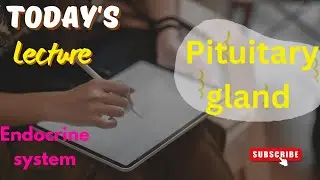 Endocrine System  | Pituitary gland  | Anterior Lobe 10th Class Biology  in Urdu, Hindi
