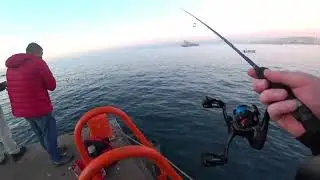 PESCA DE JURELES EN VALPARAISO (LA HÉLICE )