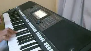 عزف أغنية تعاليلي لفرقة المرجانه الكويتيه