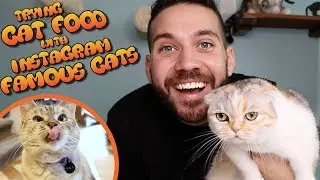 Trying Cat Food with the Famous Cats of Instagram (Nala Cat, White Coffee Cat)