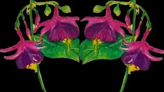 Fuchsia Flower Oil Pastel Drawing Tutorial (Step-by-Step)✏️Real-Time Processফুসিয়া ফুল ড্রয়িং 